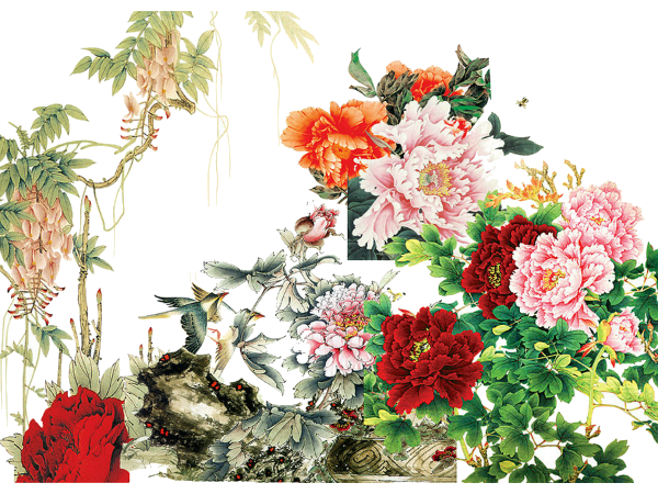 国色天香，优雅绽放 解析《牡丹花》PNG免抠图素材的艺术价值与应用场景