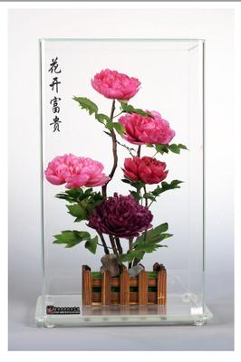 菏泽特产|牡丹“不凋花” 永不凋谢的牡丹苗木