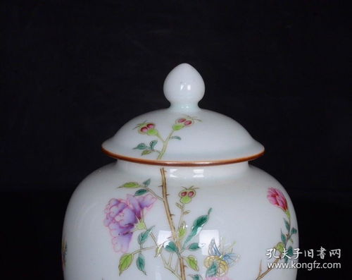 清雍正粉彩花鸟牡丹纹盖罐一对 芍药精品捡漏记