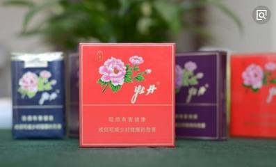 牡丹香韵 红蓝金紫间的审美对话